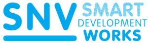 snv_smart_dev_works